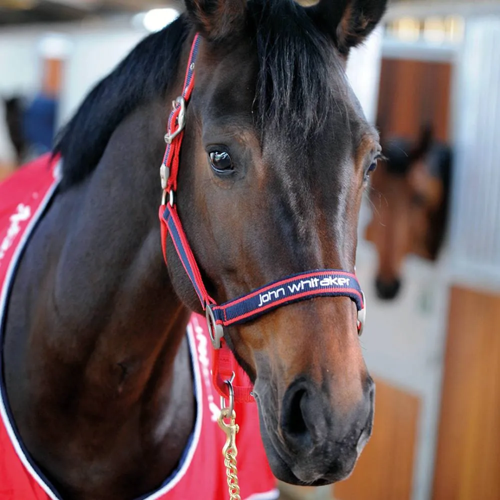 John Whitaker Padded Headcollar