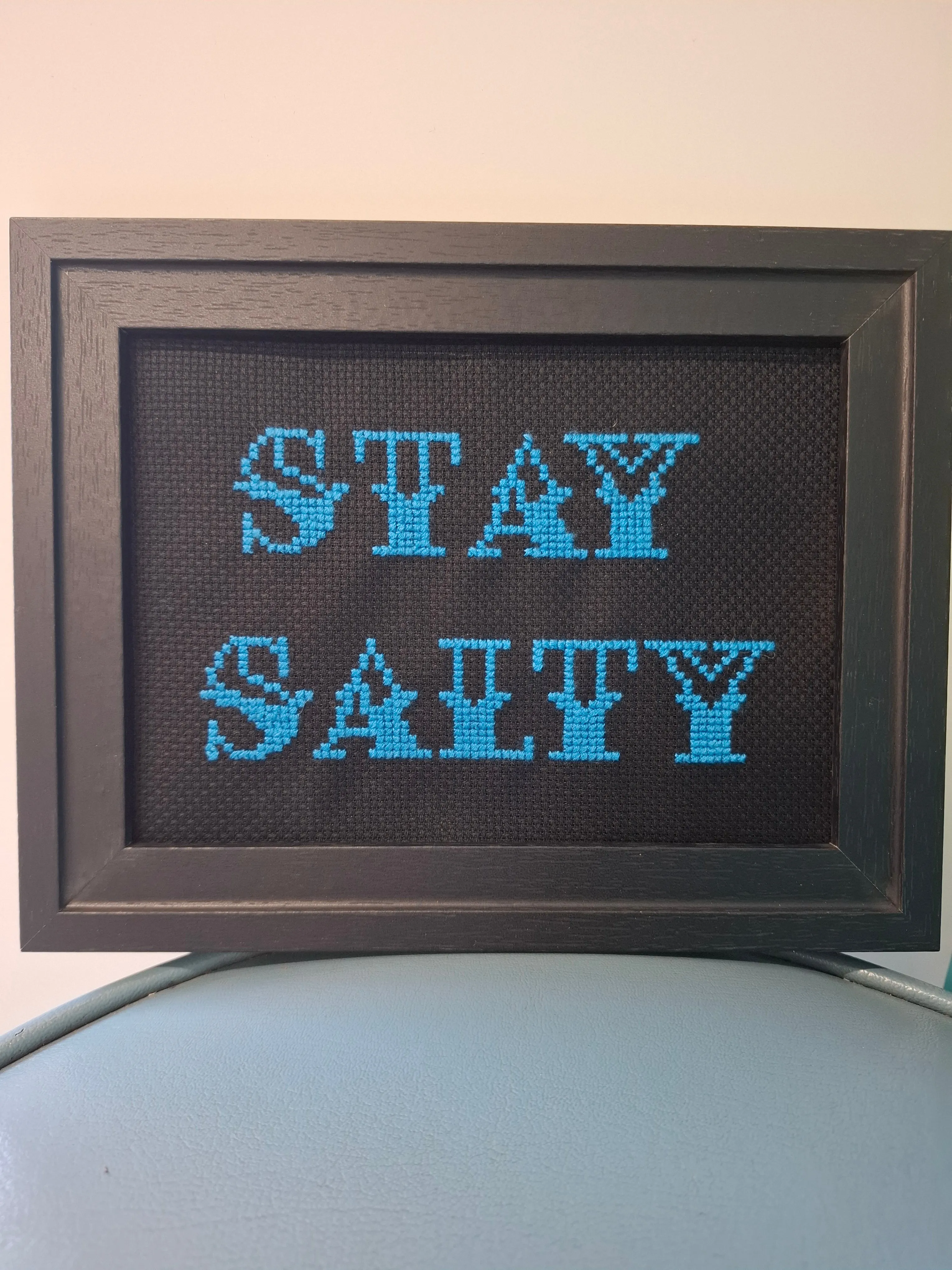 Salty Framed Cross Stitch